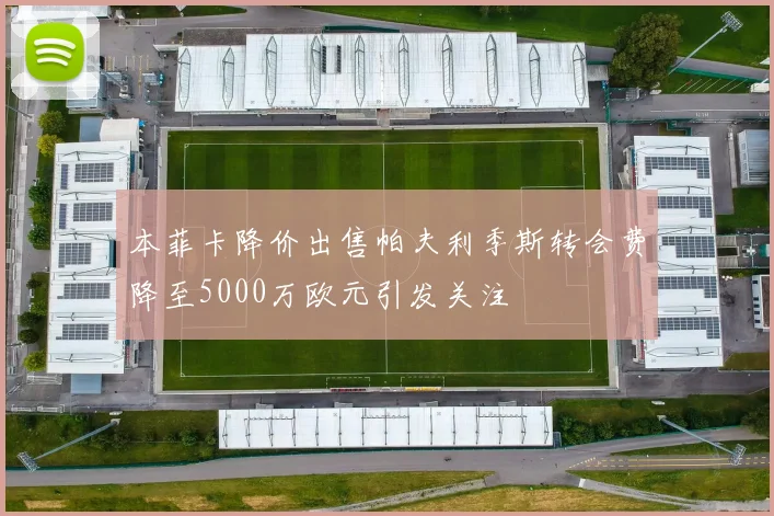 本菲卡降价出售帕夫利季斯转会费降至5000万欧元引发关注